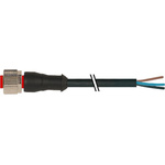 RS PRO Straight Female 3 way M12 to Unterminated Sensor Actuator Cable, 2m