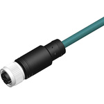 RS PRO 4 way M12 to Unterminated Cable