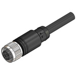 RS PRO 5 way M12 to Unterminated Cable