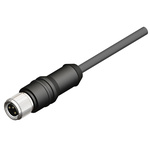 RS PRO Female 3 way M8 to Unterminated Sensor Actuator Cable, 5m