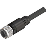 RS PRO Straight Female 12 way M12 to Unterminated Sensor Actuator Cable, 1m
