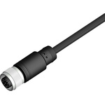 RS PRO Female 8 way M12 to Unterminated Sensor Actuator Cable, 10m