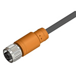 RS PRO Straight Female 4 way M12 to Unterminated Sensor Actuator Cable, 2m