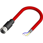 RS PRO Straight Female 4 way M12 to Unterminated Sensor Actuator Cable, 2m