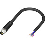 RS PRO Straight Male 6 way M8 to Unterminated Sensor Actuator Cable, 2m