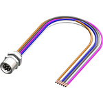 RS PRO Female 6 way M8 to Unterminated Sensor Actuator Cable, 500mm