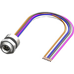 RS PRO Female 6 way M8 to Unterminated Sensor Actuator Cable, 500mm