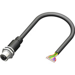 RS PRO Straight Female 8 way M12 to Unterminated Sensor Actuator Cable, 5m