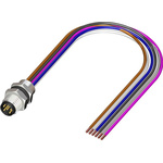 RS PRO Straight Male 6 way M8 to Unterminated Sensor Actuator Cable, 500mm