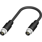 RS PRO Straight Male M12 to Straight Male M12 Sensor Actuator Cable, 10m