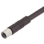 Binder Straight Female 3 way M5 to Unterminated Sensor Actuator Cable, 2m