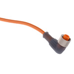 Lumberg Automation Right Angle Female 4 way M12 to Unterminated Sensor Actuator Cable, 2m