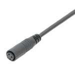 Binder Straight Female 3 way M8 to Unterminated Sensor Actuator Cable, 5m
