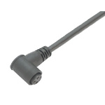 Binder Right Angle Female 3 way M8 to Unterminated Sensor Actuator Cable, 2m