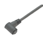 Binder Right Angle Female 3 way M8 to Unterminated Sensor Actuator Cable, 5m