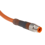 Lumberg Automation Straight Male 3 way M8 to Unterminated Sensor Actuator Cable, 2m
