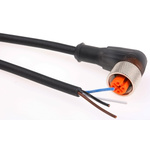 Lumberg Automation Cable assembly, 2m