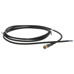 Lumberg Automation Straight Female 3 way M8 to Unterminated Sensor Actuator Cable, 2m