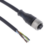 Telemecanique Sensors Straight Female 5 way M12 to Unterminated Sensor Actuator Cable, 5m