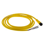 Allen Bradley Guardmaster Sensor Actuator Cable