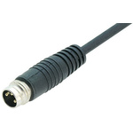 Binder Straight Male 3 way M8 to Unterminated Sensor Actuator Cable, 2m