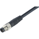 Binder Straight Male 4 way M8 to Unterminated Sensor Actuator Cable, 2m