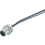 Binder Male 4 way M12 to Unterminated Sensor Actuator Cable, 200mm