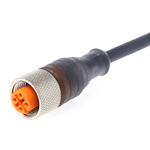 Lumberg Automation Straight Female 4 way M12 to Unterminated Sensor Actuator Cable, 2m