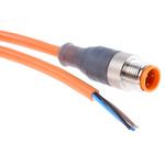 Lumberg Automation Straight Male 4 way M12 to Unterminated Sensor Actuator Cable, 2m