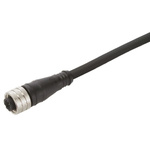 Brad from Molex Straight Female 3 way M12 to 3 way Unterminated Sensor Actuator Cable, 5m