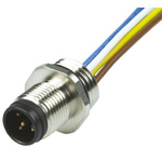 Brad from Molex Straight Male 4 way M12 to Unterminated Sensor Actuator Cable, 300mm
