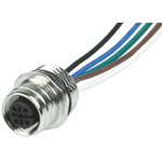 Brad from Molex Straight Female 12 way M12 to Unterminated Sensor Actuator Cable, 300mm