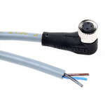 BALLUFF Right Angle Female 3 way M8 to Unterminated Sensor Actuator Cable, 5m