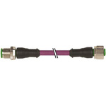 Murrelektronik Limited Straight Female 4 way M12 to Straight Male 4 way M12 Sensor Actuator Cable, 3m