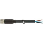 Murrelektronik Limited Straight Female 4 way M8 to Unterminated Sensor Actuator Cable, 5m