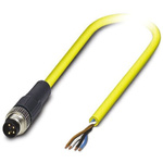 Phoenix Contact Straight Male 4 way M8 to Unterminated Sensor Actuator Cable, 2m