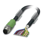 Phoenix Contact Male 17 way M12 to Sensor Actuator Cable, 3m