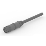 TE Connectivity Straight Male 2 way SlimSeal to Unterminated Sensor Actuator Cable, 1.5m