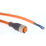 Lumberg Automation Straight Female 5 way M12 to Unterminated Sensor Actuator Cable, 5m
