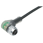 binder Right Angle Female 4 way M12 to Unterminated Sensor Actuator Cable, 2m