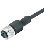 Binder Straight Female 12 way M12 to Unterminated Sensor Actuator Cable, 5m