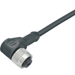 binder Right Angle Female 5 way M12 to Unterminated Sensor Actuator Cable, 5m