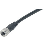 Binder Female 3 way M8 to Unterminated Sensor Actuator Cable, 2m