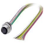 Phoenix Contact Female 17 way M12 to Sensor Actuator Cable, 500mm