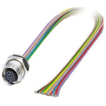 Phoenix Contact Female 12 way M12 to Sensor Actuator Cable, 500mm