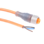 Lumberg Automation Straight Female 3 way M12 to Unterminated Sensor Actuator Cable, 2m