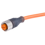 Lumberg Automation Straight Female 5 way M12 to Unterminated Sensor Actuator Cable, 2m