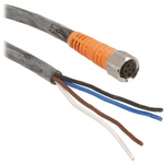 Telemecanique Sensors Straight Female 4 way M8 to Unterminated Sensor Actuator Cable, 5m