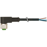 Murrelektronik Limited Right Angle Female 4 way M12 to Unterminated Sensor Actuator Cable, 3m