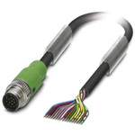 Phoenix Contact Straight Male 17 way M12 to Unterminated Sensor Actuator Cable, 3m